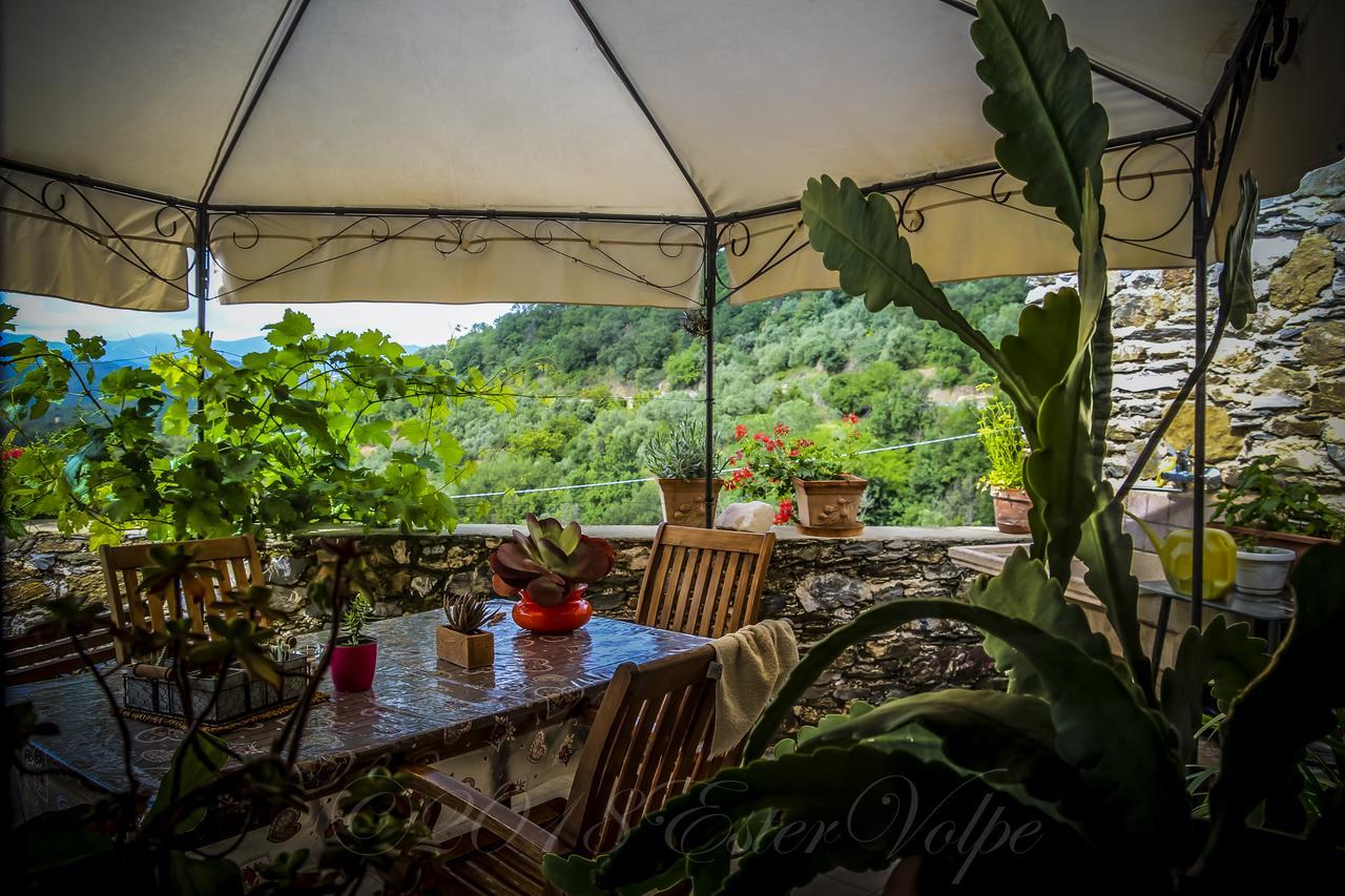 Bed & Breakfast Ca' Di Vissai Arnasco Exterior photo